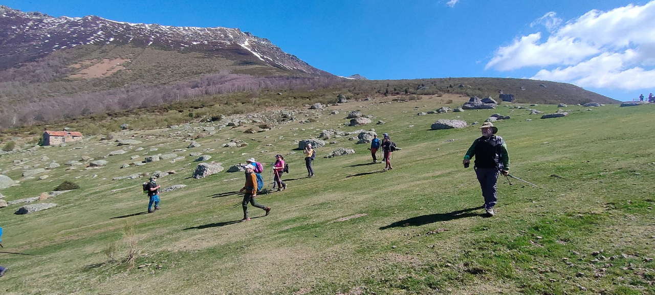 WhatsApp Image 2026-03-23 at 08.14.03 (4)